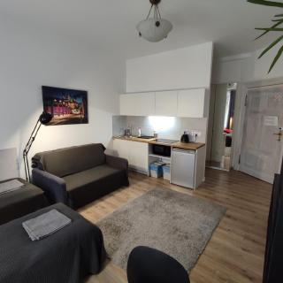 Apartament Rybaki 22 - Poznań - 1