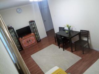 Cozy Apartment Near UB Railway Station - 6