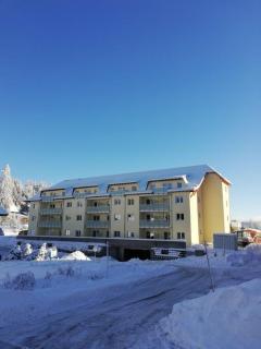 Residenz-Grafenmatt-Feldberg-Schwarzwald - Feldberg - 9