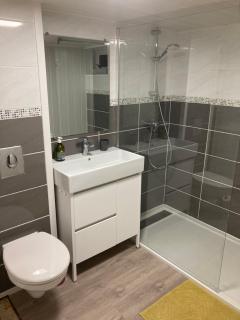Appartement en rez-de-chaussée de maison - Montanay - 3