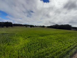 Apartamento a Carballeira - 3