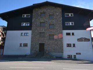 Superbe T3 avec Grande Terrasse - 6 Pers, Proche Centre des Gets - FR-1-685-11 - Les Gets - 9