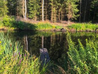 Agro - Dom Wsrod Lasow - 7