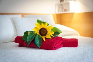 Apartman Agata - Rovinj - 5