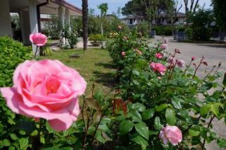 B&B Cà d'Artisti - Caorle - 8