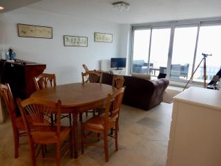 Appartement T3 Centre Arcachon, Vue Bassin, Parking, Animaux OK, Wifi - FR-1-374-74 - Arcachon - 6