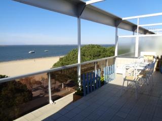 Appartement T3 Centre Arcachon, Vue Bassin, Parking, Animaux OK, Wifi - FR-1-374-74 - Arcachon - 1