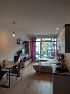 Apartament pod Szyndzielnią, Dębowiec - Bielsko-Biała - 8