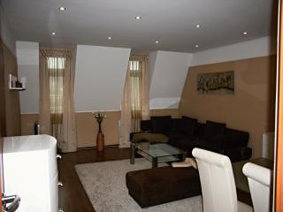Apartmán Dr. Engla - Karlsbad - 4