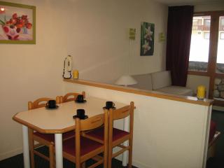 Studio accessible 4 pers, balcon sud-ouest, animaux admis - FR-1-353-45 - 9