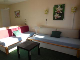 Studio accessible 4 pers, balcon sud-ouest, animaux admis - FR-1-353-45 - 7