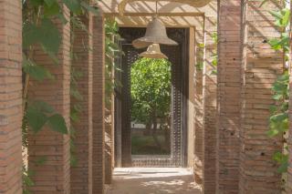 Manzil La Tortue - 5