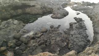 Casa de los pajaritos. - Charco del Palo - 1