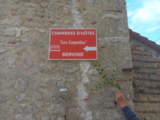 Le calme à la campagne - Besson - 8
