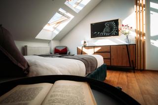 Luxury Oasis, Sauna, AC and Free Parking - Brno - 0