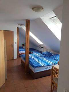 Penzion U Polenů - Třeboň - 5