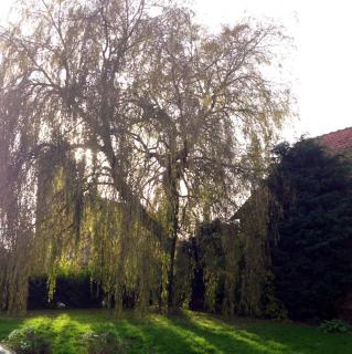 Au repos du roi - Maisoncelle - 8