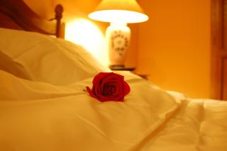 Bucharest Boutique Accommodation by Hotels - Bucarest - 3