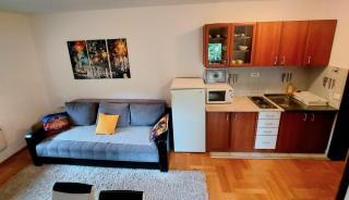Goran Apartment - Zlatibor - 7