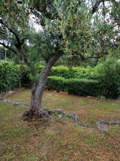 Holiday house with WiFi Supetar, Brac - 12323 - 5