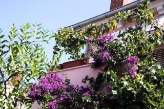 Apartments by the sea Mali Losinj (Losinj) - 12634 - Veli Lošinj - 3