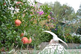 Apartments by the sea Poljica, Trogir - 12653 - 5