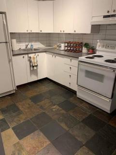 BIG 3BR appartment at Olympic Stadium at PIE-IX Metro station - 6