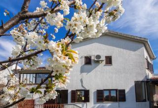 Apartments with a parking space Kastel Sucurac, Kastela - 12815 - 9