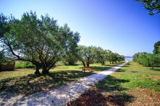 Seaside secluded apartments Biograd na Moru, Biograd - 12827 - 5