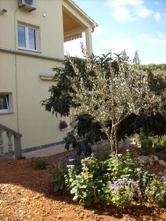 Apartments by the sea Zman, Dugi otok - 12879 - 4