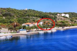 Apartments by the sea Vis - 13169 - 0