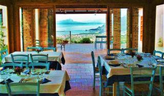 Agriturismo Nappi - Azienda Agricola Piano delle Vigne - Praia a Mare - 9