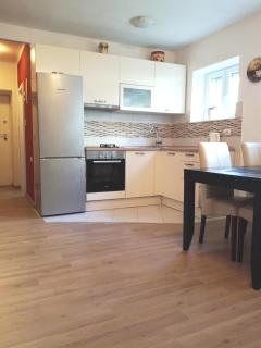 Apartments with WiFi Split - 13459 - 2