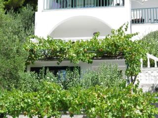 Apartments with parking space Brela, Makarska - 11687 - 3