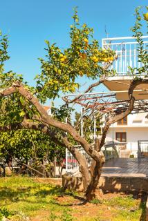 Apartments with parking space Jelsa, Hvar - 13513 - 3