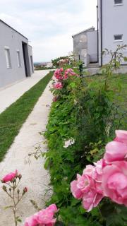 Apartments with a parking space Nin, Zadar - 13571 - Nin - 4