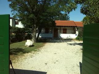 Family friendly apartments with a swimming pool Vir - Lozice, Vir - 13569 - Vir - 9