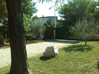 Family friendly apartments with a swimming pool Vir - Lozice, Vir - 13569 - Vir - 3