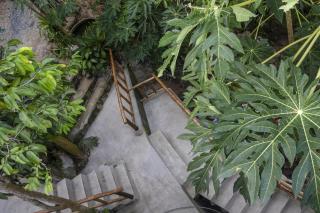 Deishaview Jungle Hostel - Ko Tao - 3