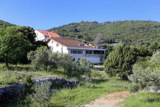 Apartments by the sea Zrnovska Banja, Korcula - 13636 - Korčula - 8