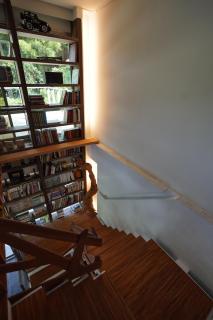 小鳥敲門 Bird Villa - 4