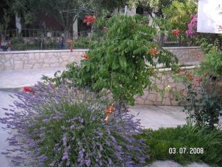 Apartments by the sea Ljubac, Zadar - 14593 - Ražanac - 3