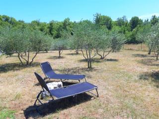 Secluded holiday house Milovcici, Krk - 14604 - Malinska - 4