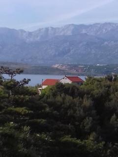 Apartments with a parking space Novigrad - 12572 - Novigrad Dalmatia - 0