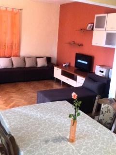Apartments with a parking space Novigrad - 12572 - 6