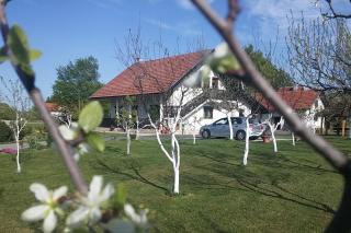 Apartments with a parking space Smoljanac, Plitvice - 14657 - 9