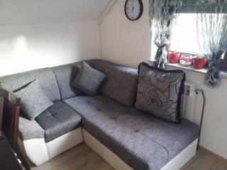 Apartments with a parking space Smoljanac, Plitvice - 14657 - 3