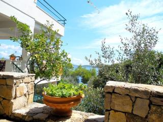 Apartments by the sea Cove Gornja Krusica, Solta - 14696 - 2