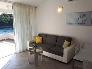 Apartments by the sea Cove Gornja Krusica, Solta - 14696 - 1