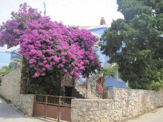 Apartments by the sea Maslinica, Solta - 14748 - Maslinica - 0